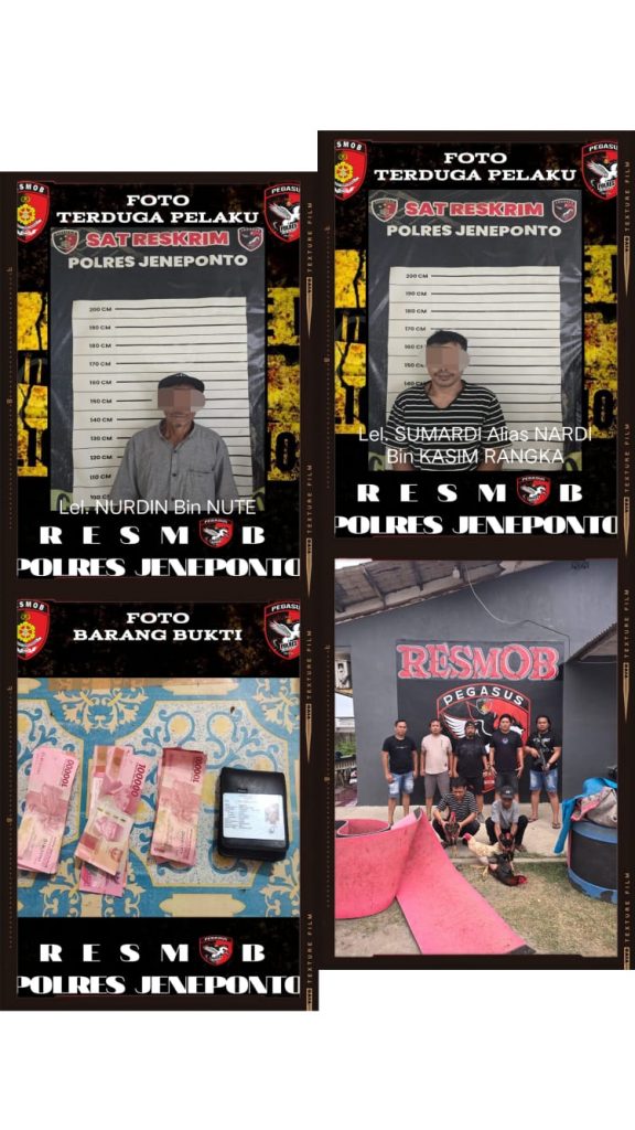 Resmob Polres Jeneponto Gerebek Judi Sabung Ayam, 2 Pelaku Diamankan