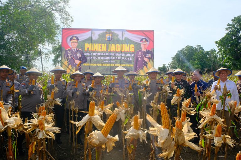 Kapolda Sulsel Hadiri Panen Jagung Program Ketahanan Pangan di Kabupaten Wajo