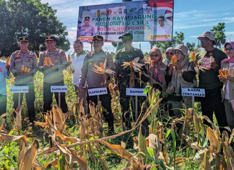 POLRI UNTUK MASYARAKAT” Polres Jeneponto Gelar Panen Raya Jagung Tahap II Bersama Instansi Terkait