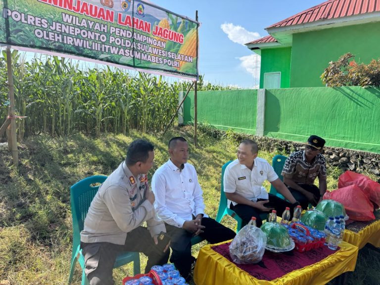 Irwil III Itwasum Polri Tinjau Lahan Jagung Binaan Polres Jeneponto Dukungan Nyata Polri dalam Program Ketahanan Pangan Nasional
