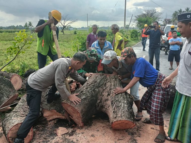 Polsek Arungkeke Gotong Royong Bersihkan Jalan dari Pohon Tumbang