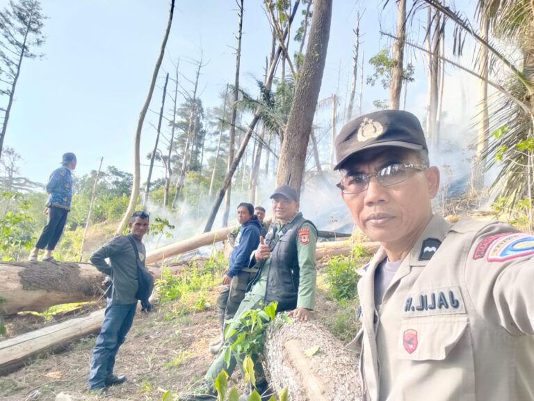 Tim Gabungan Berhasil Padamkan Kebakaran Hutan Lindung di Dusun Kompasa, Desa Loka Kec Rumbia Kab Jeneponto